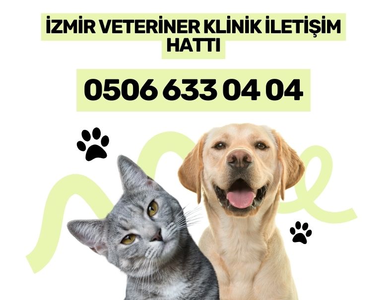 izmir-veteriner-klinik-telefon-numarasi